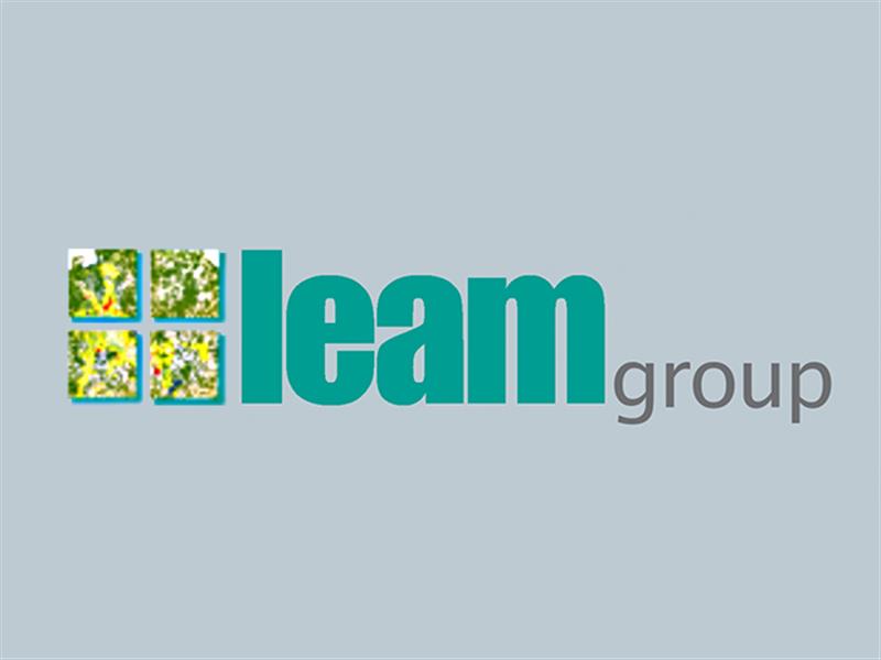 LEAMgroup