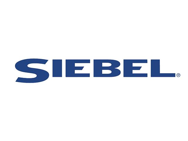 Siebel Systems