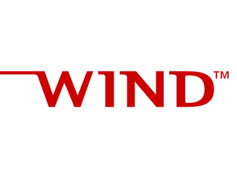 Wind River Systems