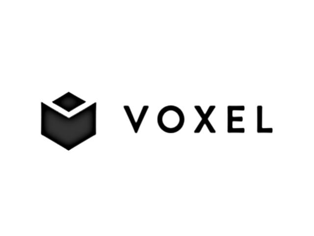 Voxel