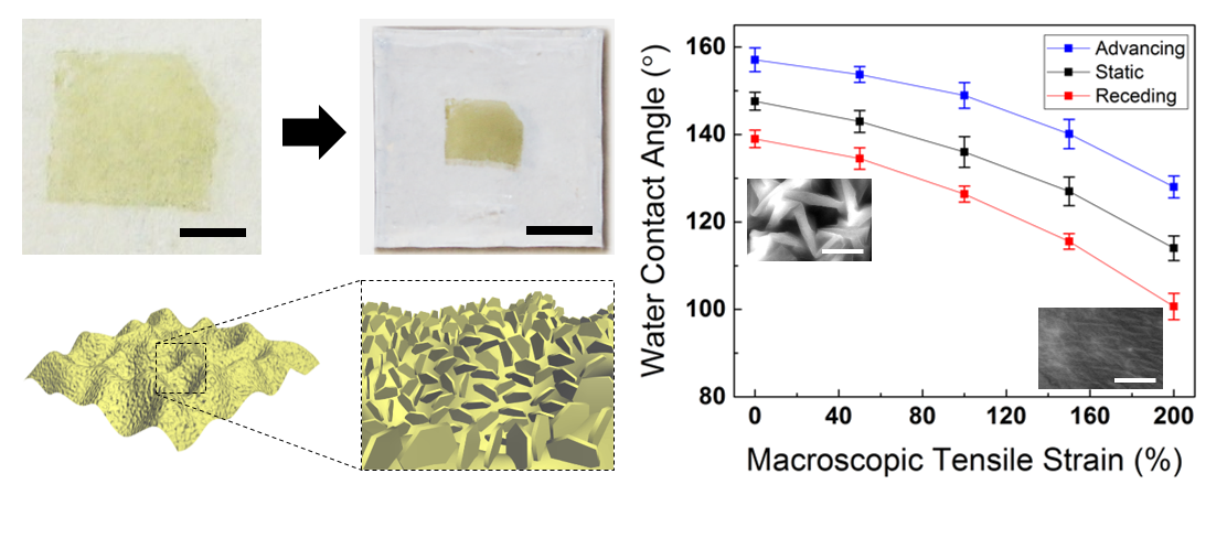 Image shows how controlled and dynamic surface architecturing/roughening of atomically thin MoS2 affects wettability.