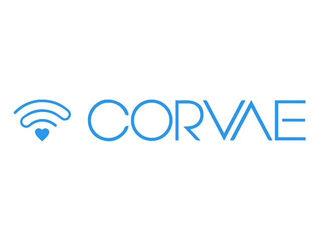 Corvae