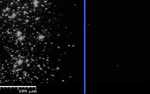 A wafer containing 80 nm polystyrene contaminant particles was masked where the blue in is and the area to the right was exposed to the submicron particle removal system. As you can see, the particles are fully removed. This shows fully the cleaning and selectivity of the process.
