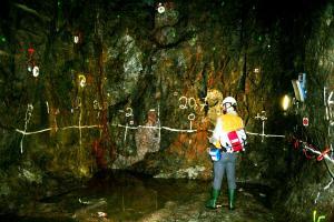 NPRE undergrad Joel Exner examines the rock formation at the Äspö Hard Rock Laboratory in Sweden.