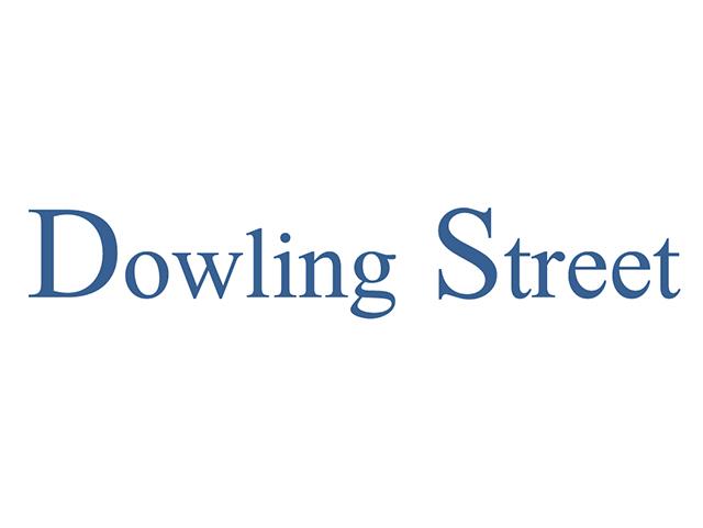 Dowling Street, LLC