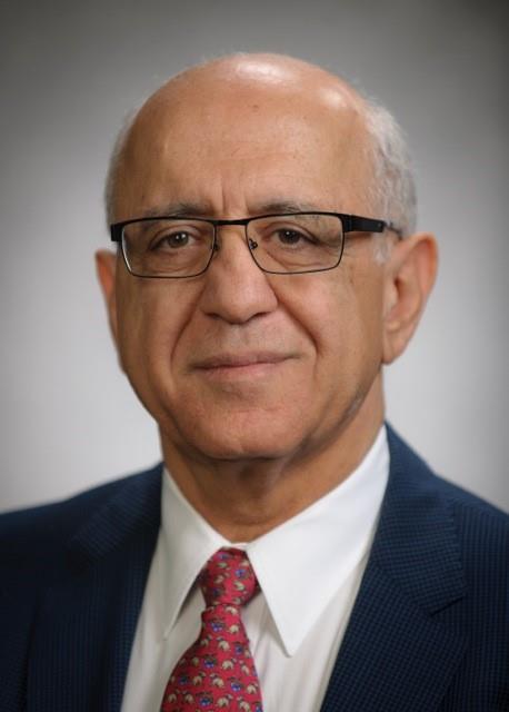 Nagi Mansour