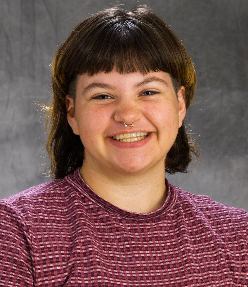 Molly Fried Chemical & Biomolecular Engineering Illinois