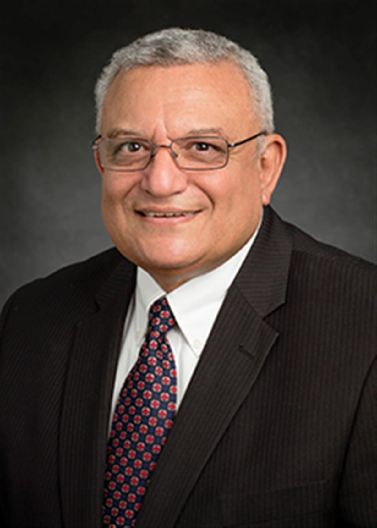 Magdi Ragheb | Nuclear, Plasma & Radiological Engineering | Illinois