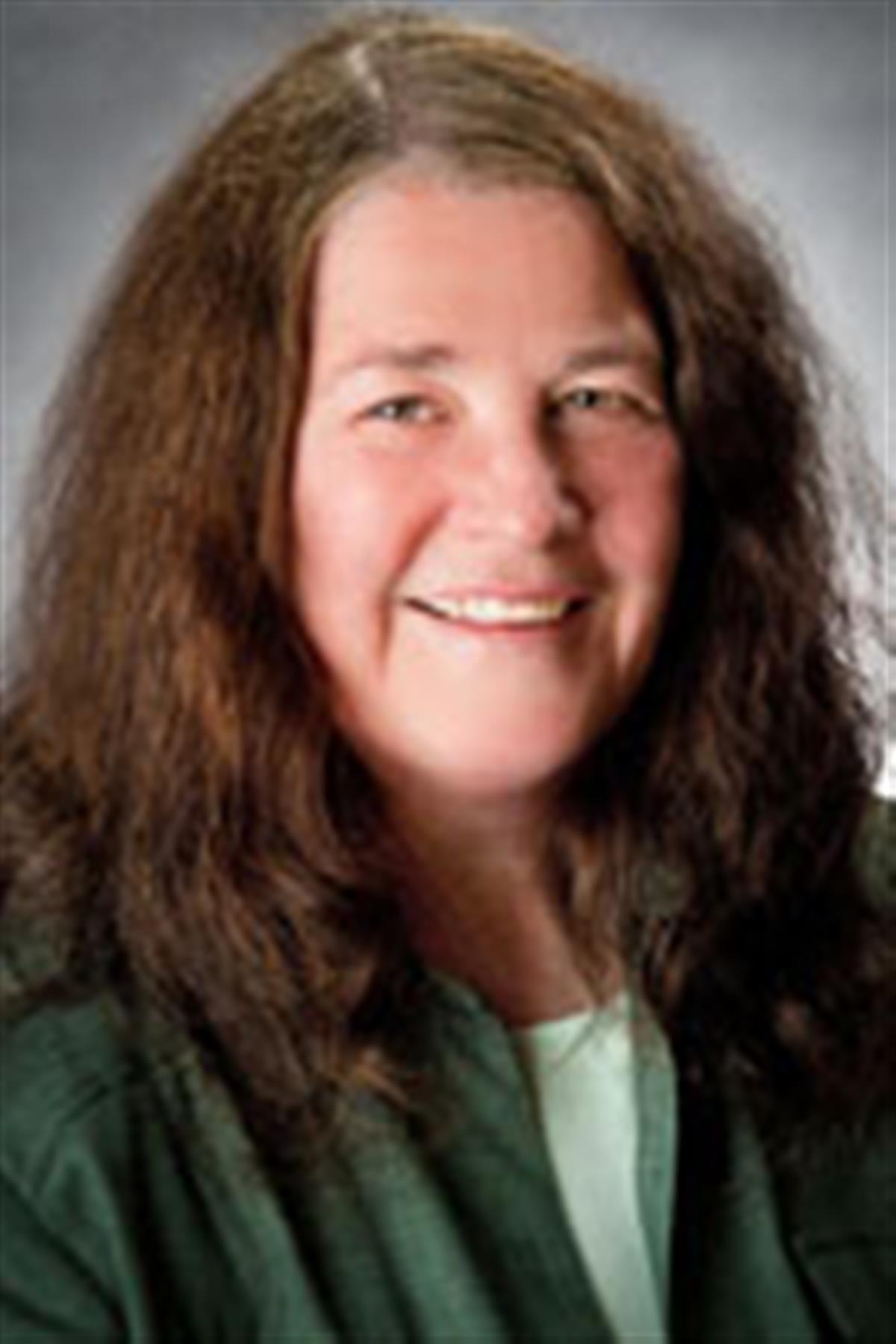 Susan A Lamb | Physics | Illinois