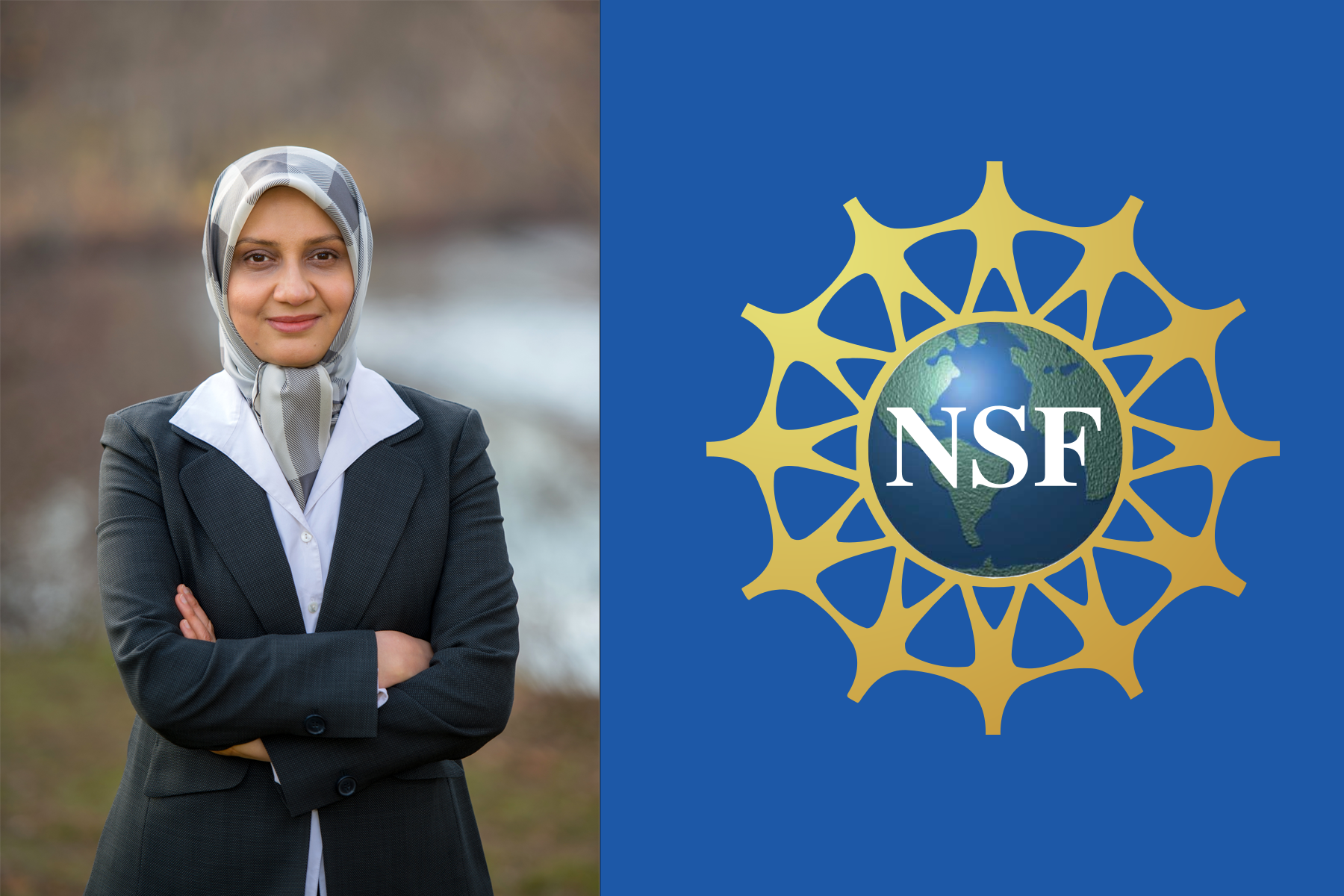 Mohaghegh awarded NSF mid-career grant