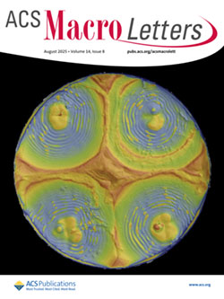 2025 ACS Macro Lett.