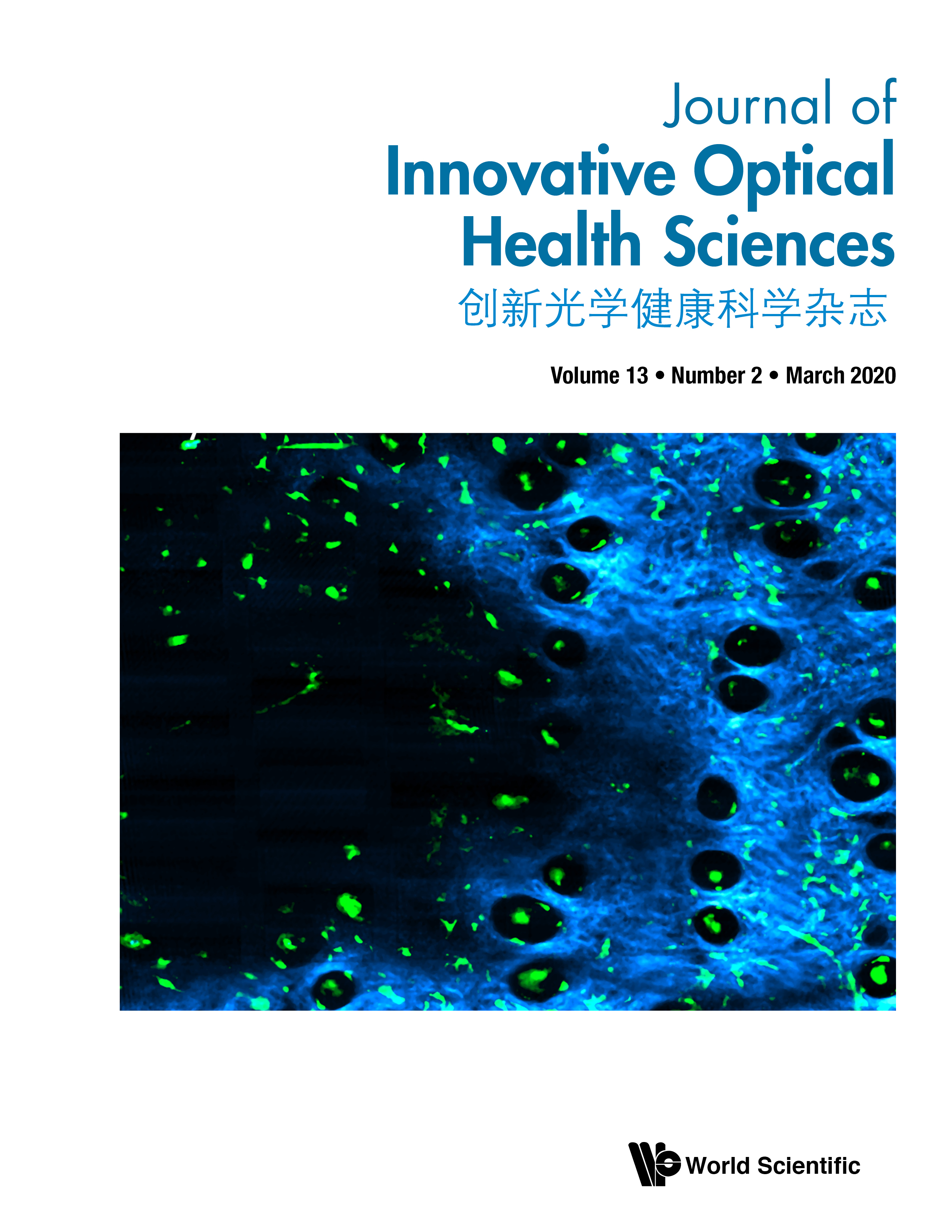 Video-rate multimodal multiphoton imaging and three-dimensional characterization of cellular dynamics in wounded skin