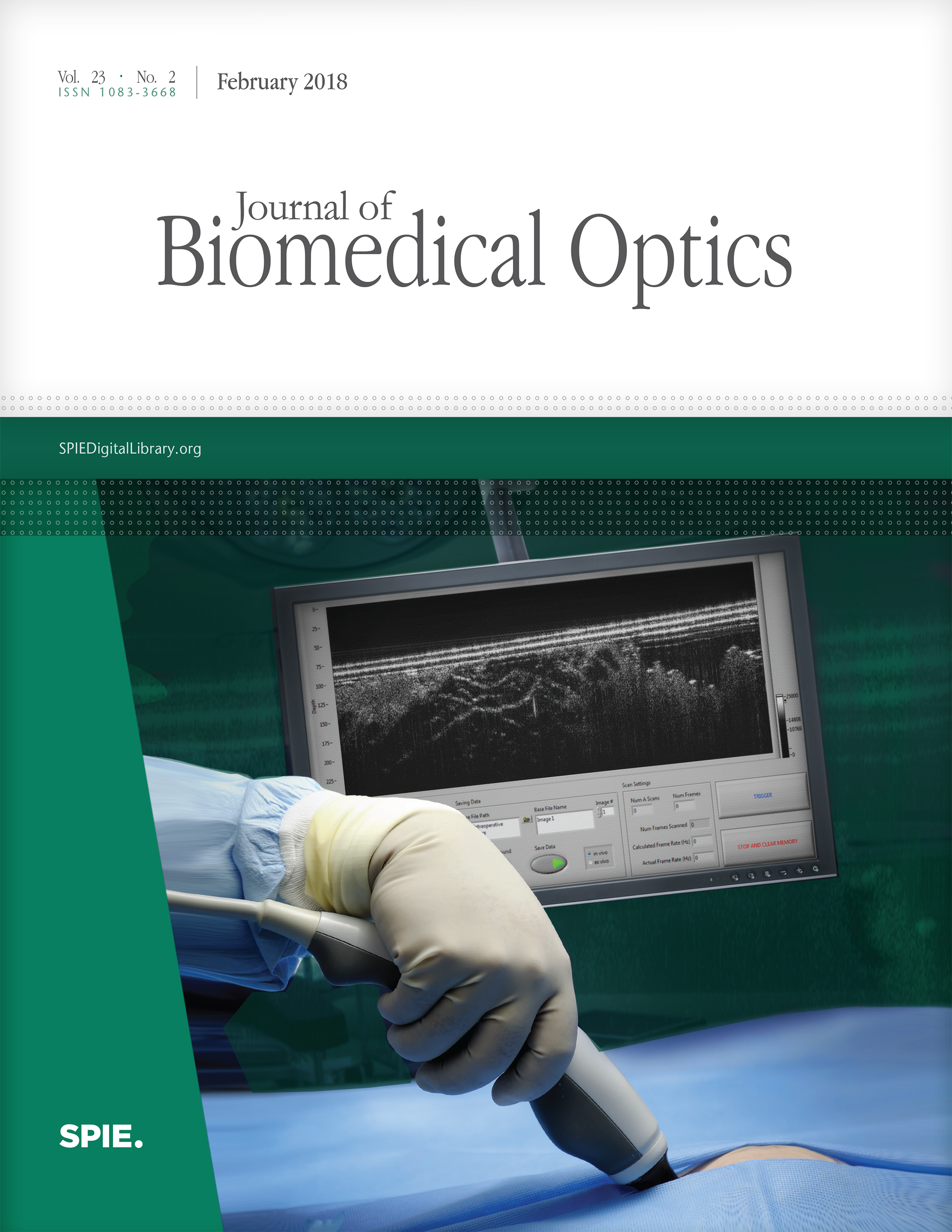 Label-free optical imaging technologies for rapid translation and use during intraoperative surgical and tumor margin assessment.