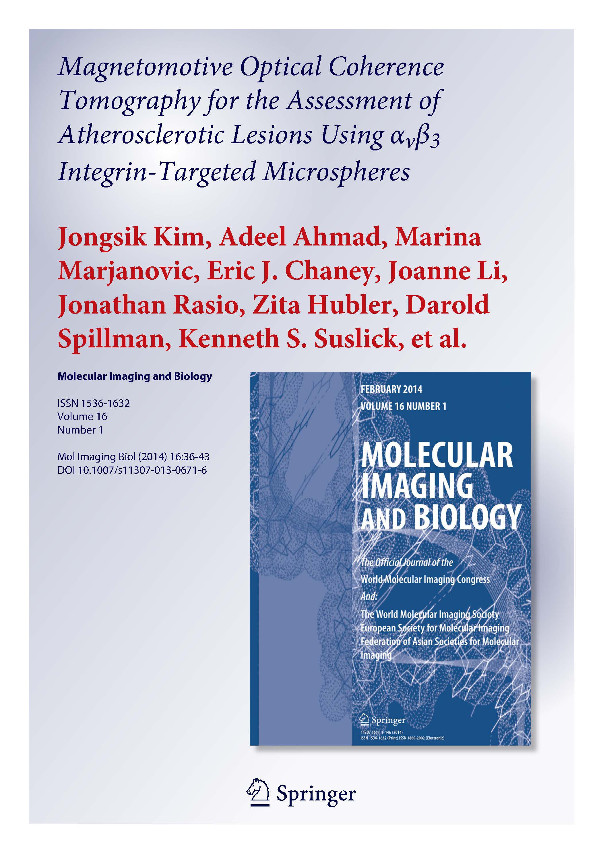 Magnetomotive optical coherence tomography for the assessment of atherosclerotic lesions using αvβ3 integrin-targeted microspheres