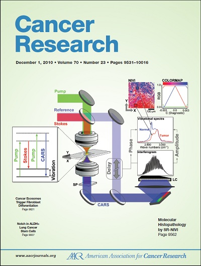 Molecular Histopathology by Spectrally Reconstructed Nonlinear Interferometric Vibrational Imaging