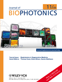 Multimodality microscopy for imaging three-dimensional engineered and natural tissues