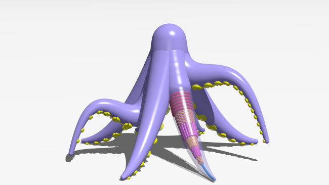 A simulation of the complex muscular architecture of an octopus. (Image provided by Cathy Shih, PhD student from the Gazzola group)