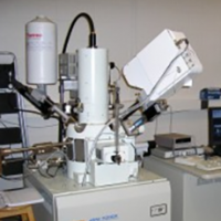 JEOL 7000F Analytical SEM