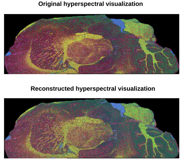 Top, hyperspectral visualization with data from a standard 9-hour experiment compared with hyperspectral visualization with data from a proposed 1-hour experiment.