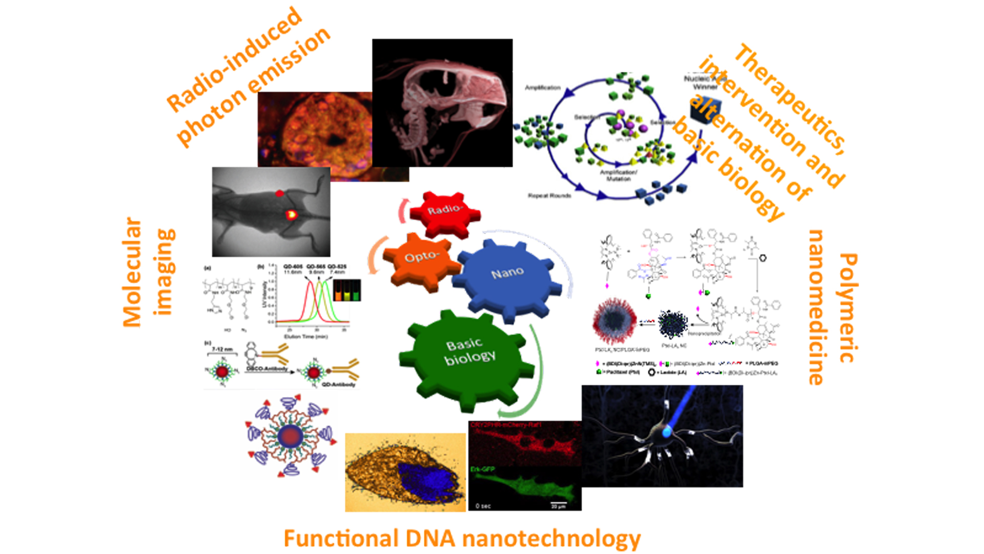 Re-Engineering the Interaction of Ionizing Radiation with Living Tissue