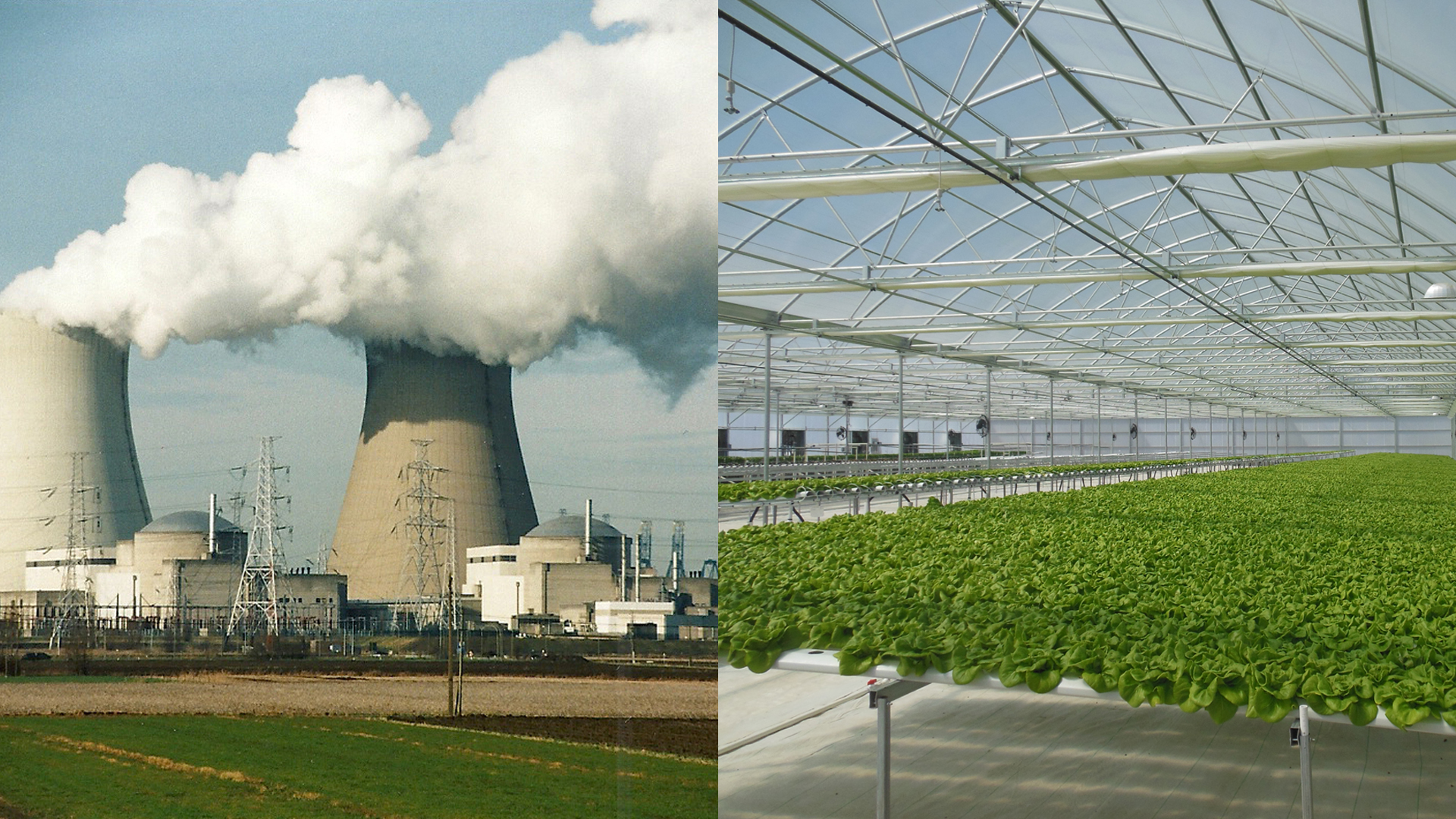 NPRE, Crop Sciences join Exelon to study re-using lost nuclear power plant heat for greenhouse, biofuel needs