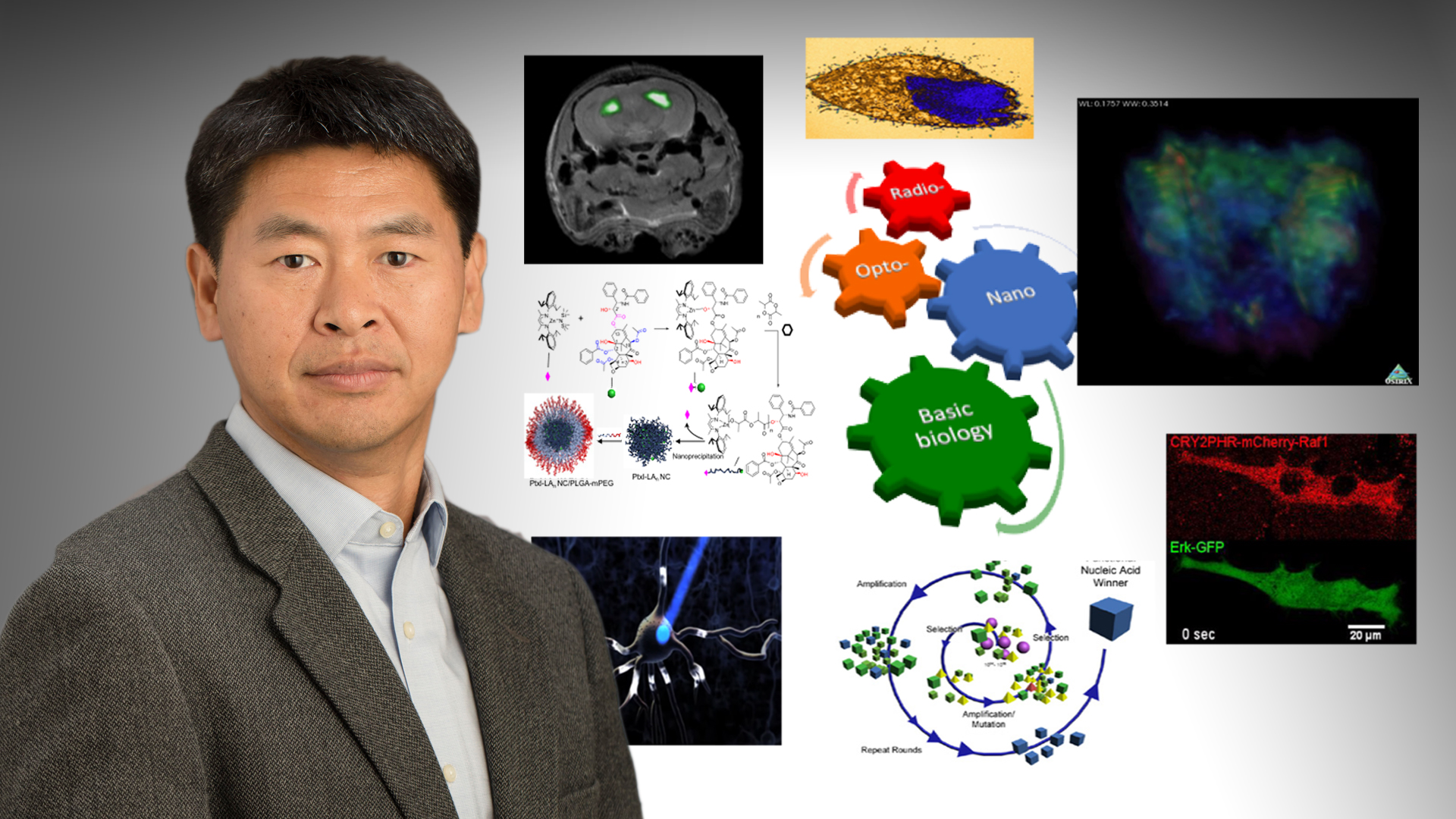 Meng gains $2M NIH grant to develop XFET imaging techniques