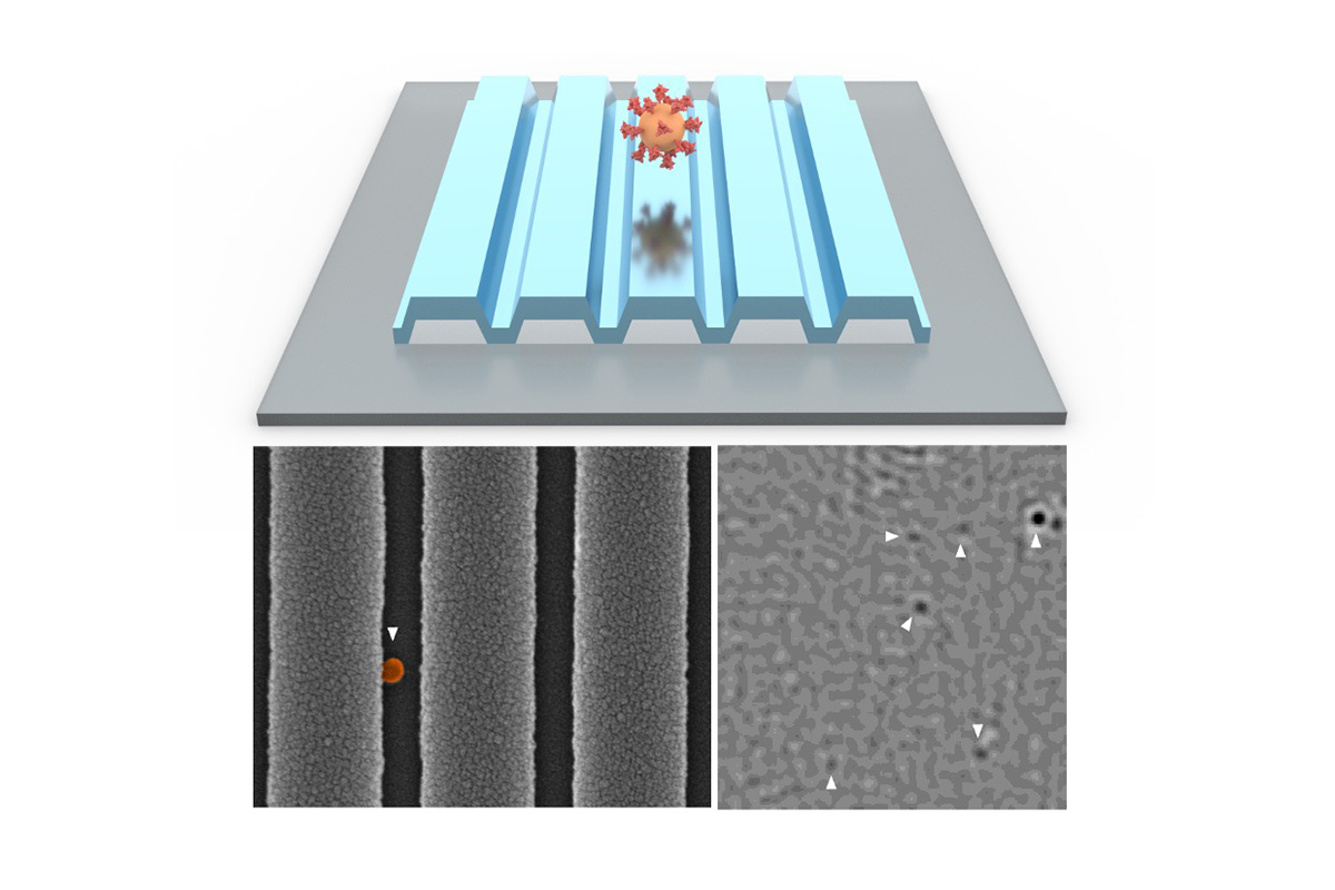 PRISM for COVID-19 detection. At top, concept art. Bottom left, a microscope image of a single virus on the photonic crystal surface. Bottom right, a PRISM image with six viruses detected. Image courtesy of Nantao Li