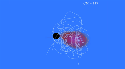 点击播放视频:夏皮罗组:数值模拟(2015)合并后的射流形成的黑洞磁化的中子星