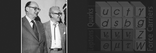 约翰·巴丁（John Bardeen）和默里·盖尔·曼（Murray Gell-Mann）