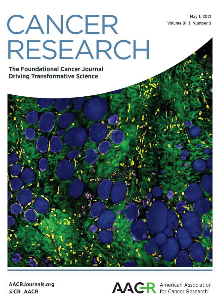 Label-free deep profiling of the tumor microenvironment