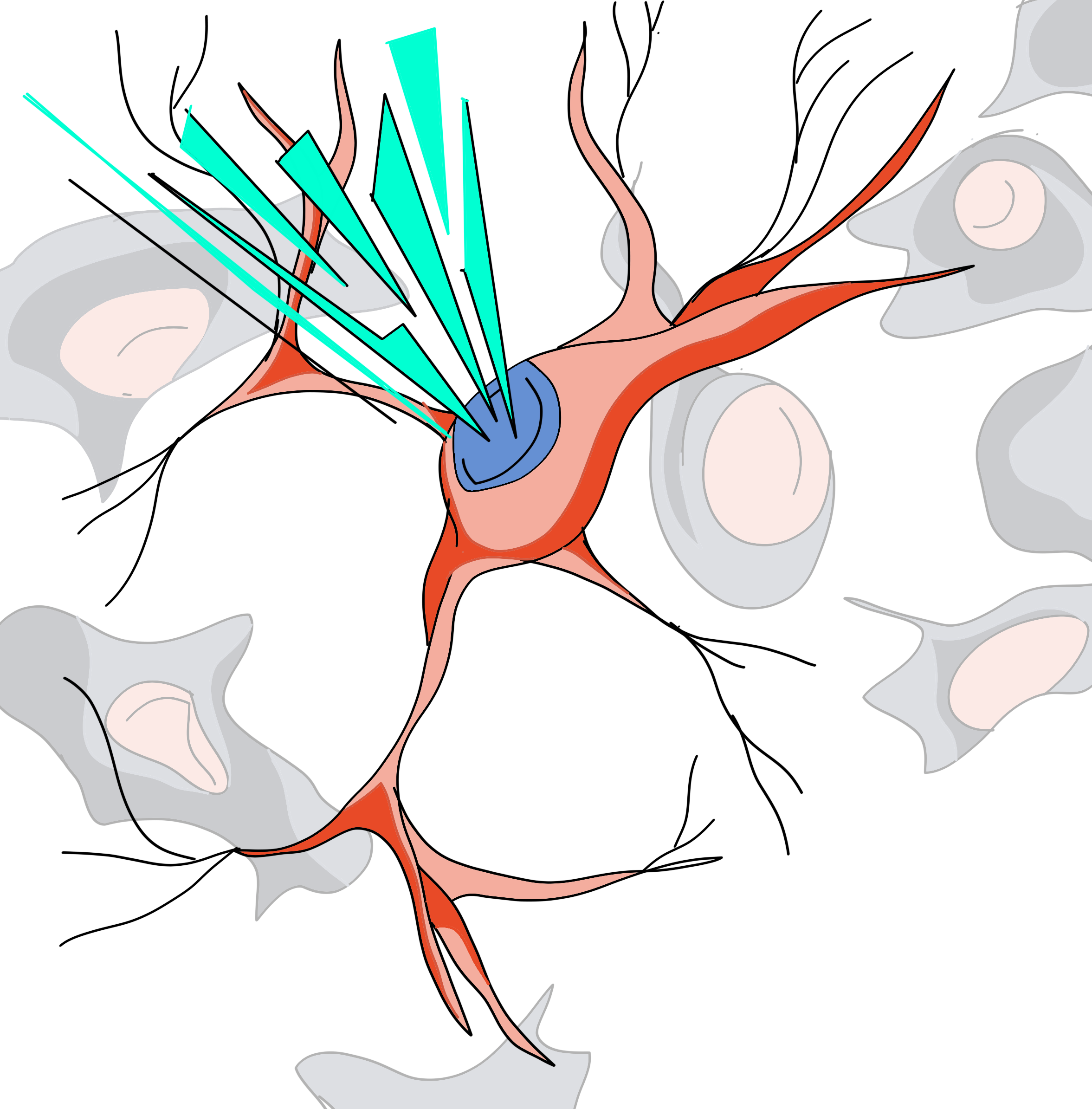 Single cell optogenetics of neurons
