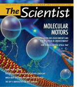 The Scientist cover