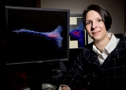 Professor Mary Kraft was awarded the 2014 Walter A. Shaw Young Investigator Award in Lipid Research
