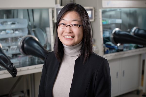 Ying Diao, Dow Chemical Company Faculty Scholar and Assistant Professor of Chemical and Biomolecular Engineering