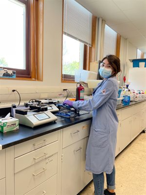 Danielle Harrier operating the droplet based microfluidic device she designed and optimized in the Guironnet Lab. She has recently reported a water-sensitive catalyst encapsulation yielding biodegradable polymer particles dispersed in water.