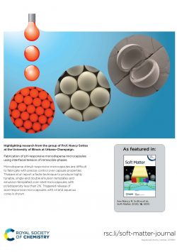 2020 Soft Matter inside cover