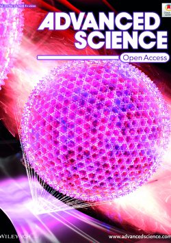 Advanced Science 2020.7:2070037