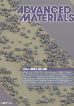 2012 Adv. Mater.