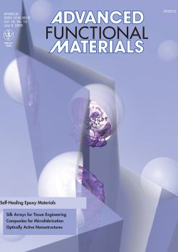2008 Adv. Funct. Mater.