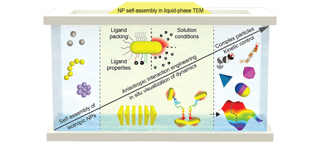 lquid-phase TEM to reveal hidden dynamics