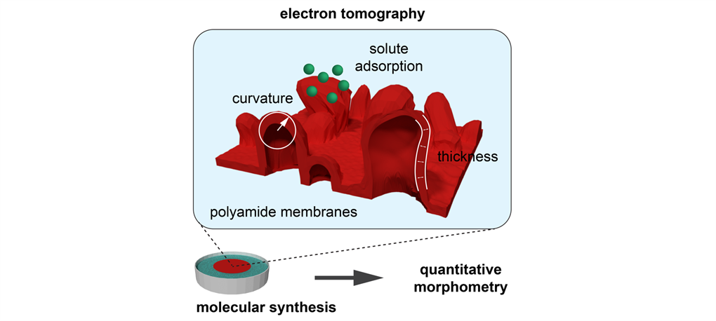 polyamide membranes structure reconstruction