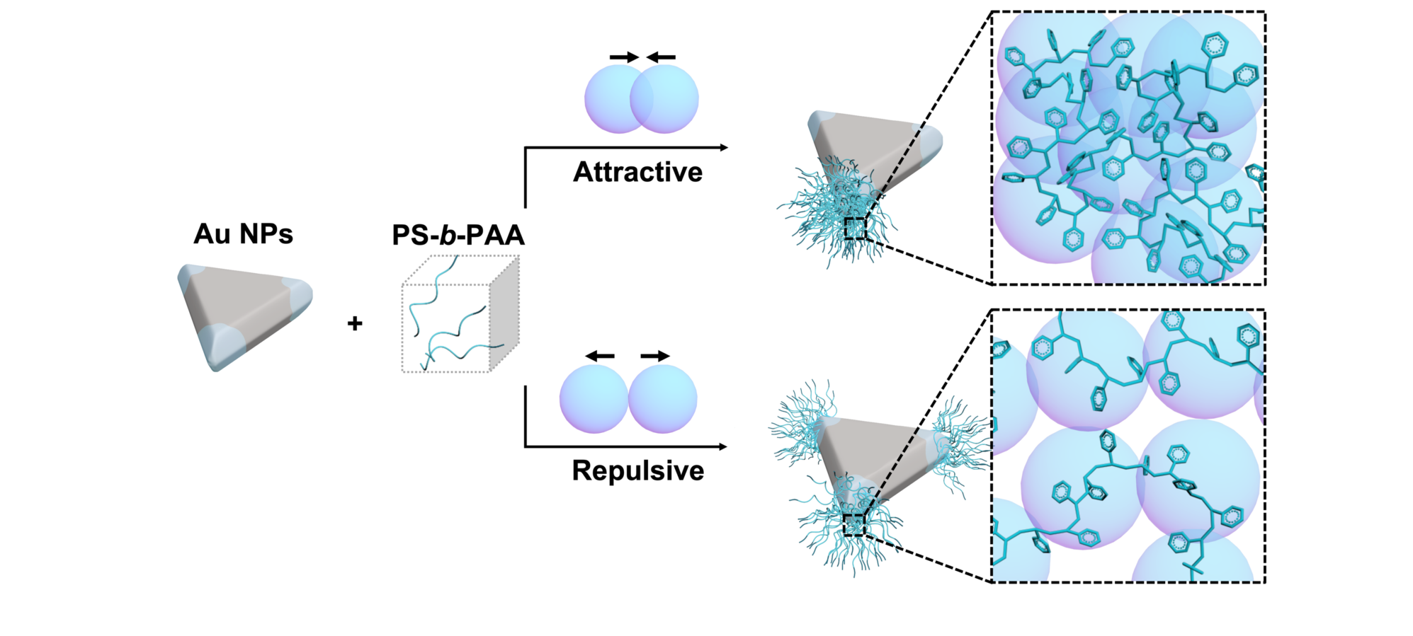 symmetry-breaking in patch formation on triangular NP