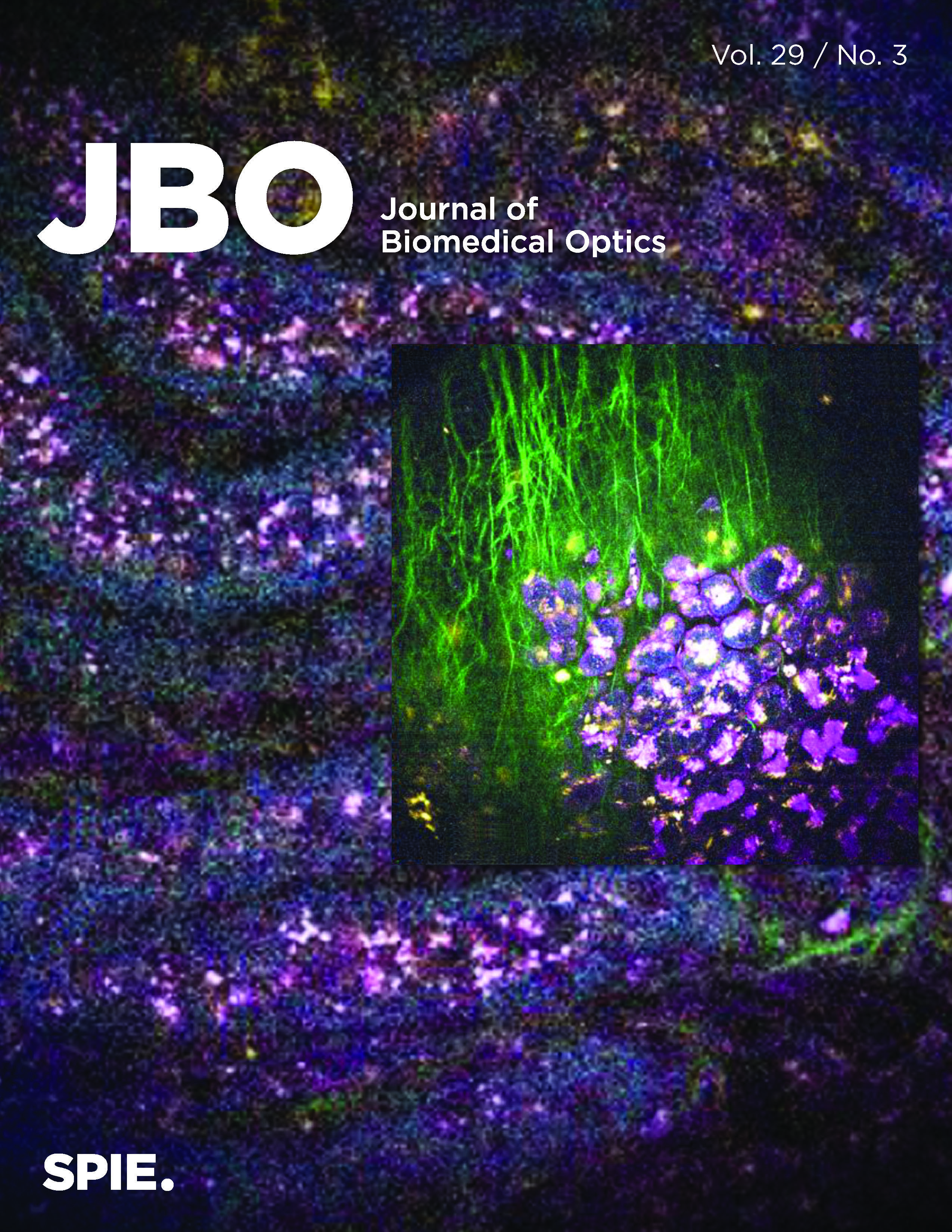 Compact simultaneous label-free autofluorescence multi-harmonic microscopy for user-friendly photodamage-monitored imaging