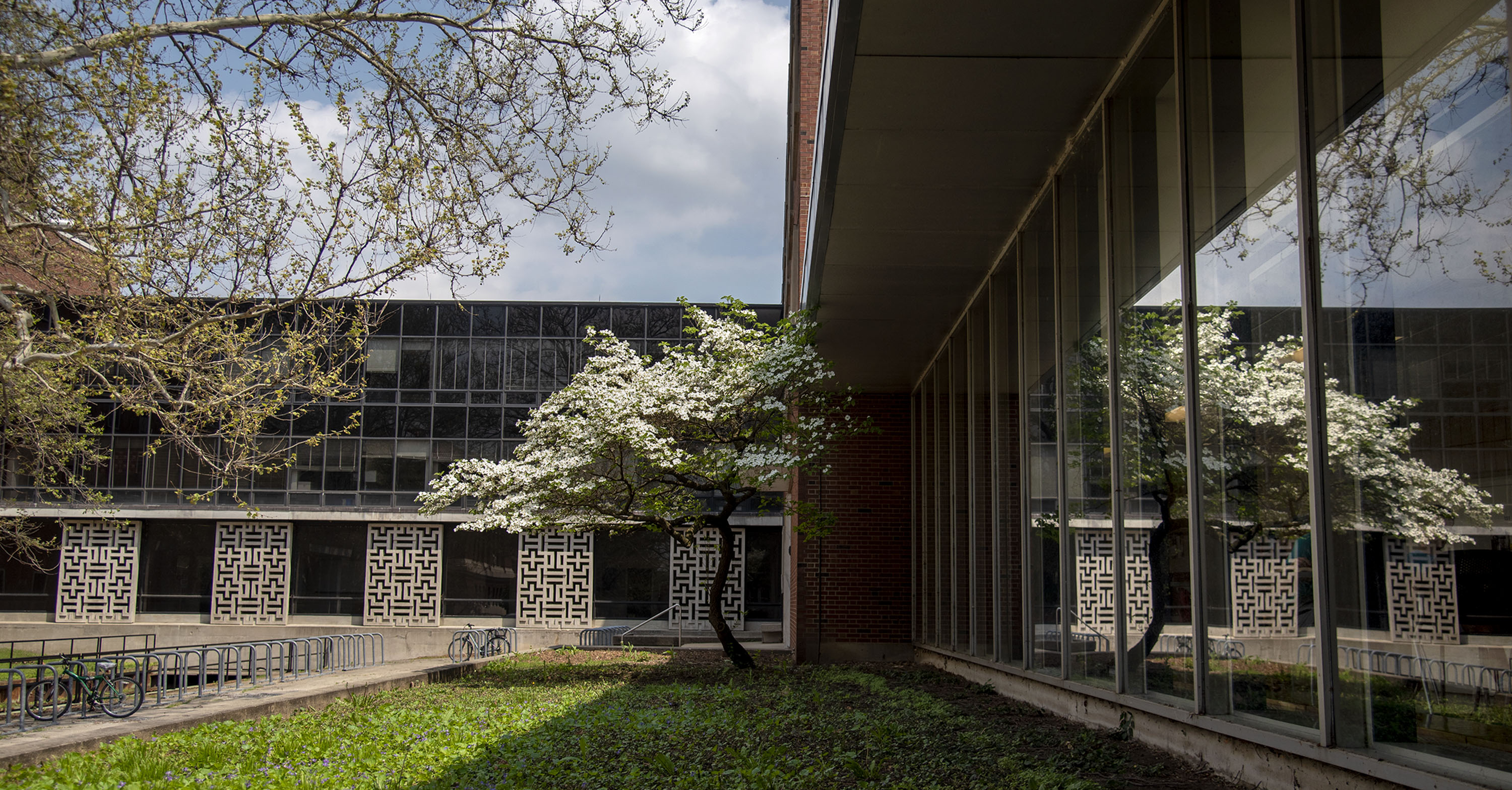 Loomis Lab and Physics Building